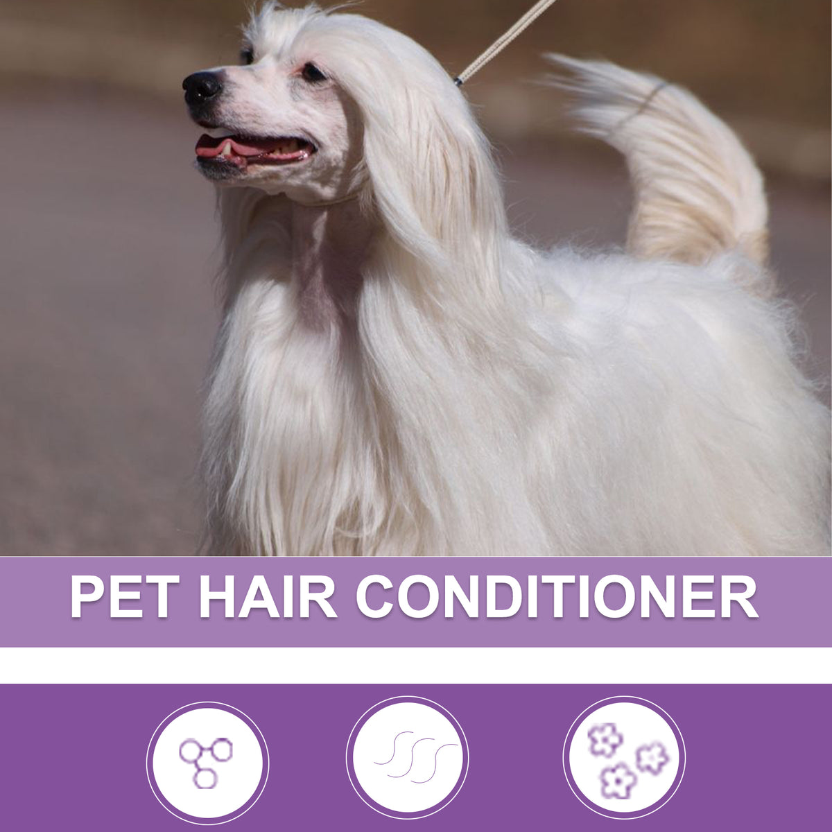 Pet Hair Conditioner – Smooth, Soft & Tangle-Free Coat