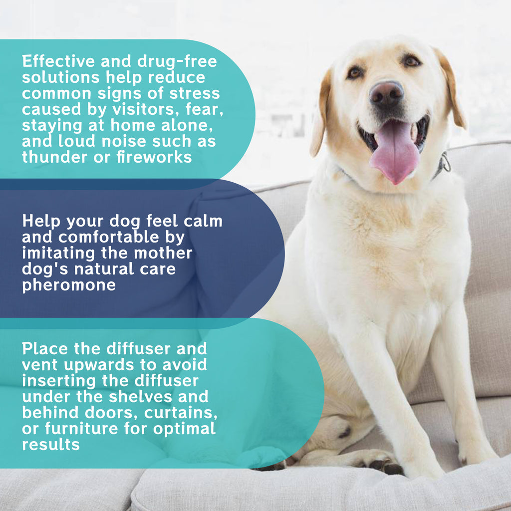 Pet Calming Diffuser – Lavender Anxiety & Stress Relief for Dogs & Cats