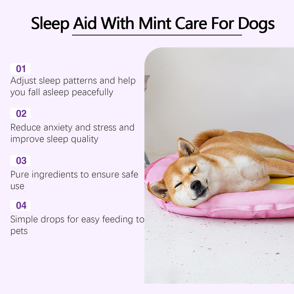 Dog Sleep Support Drops
