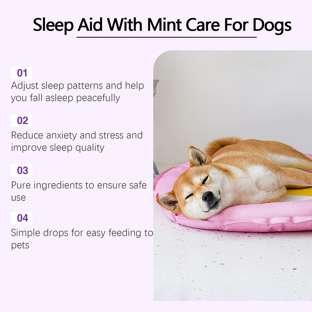 Dog Sleep Support Drops