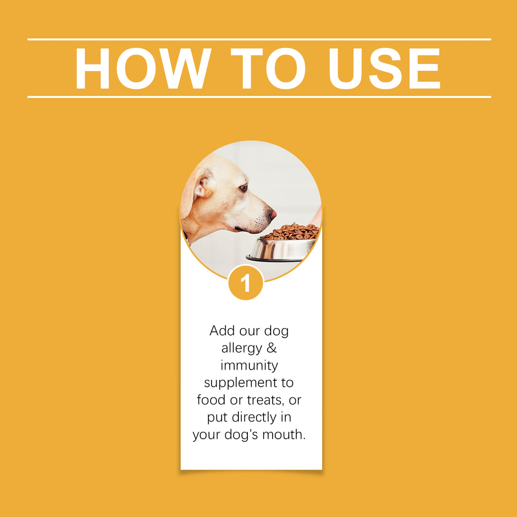 Dog Immunity & Allergy Relief Drops – Daily Nutritional Support