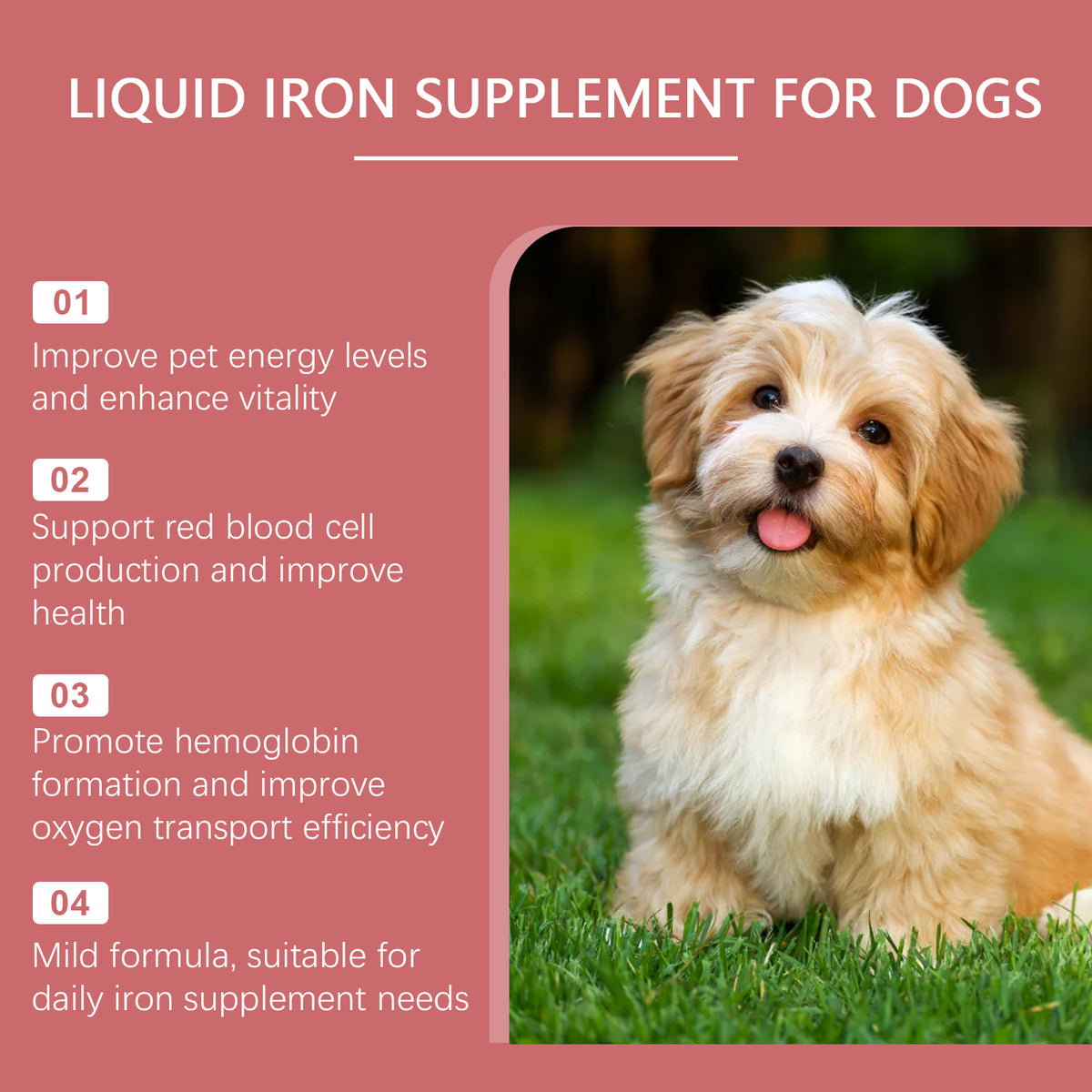Dog Liquid Iron Drops — Boosts Energy, Red Blood Cells & Vitality