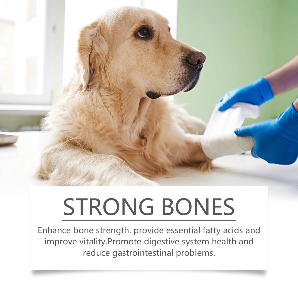 Dog Fish Oil Tablets – Skin, Coat & Joint Health Support