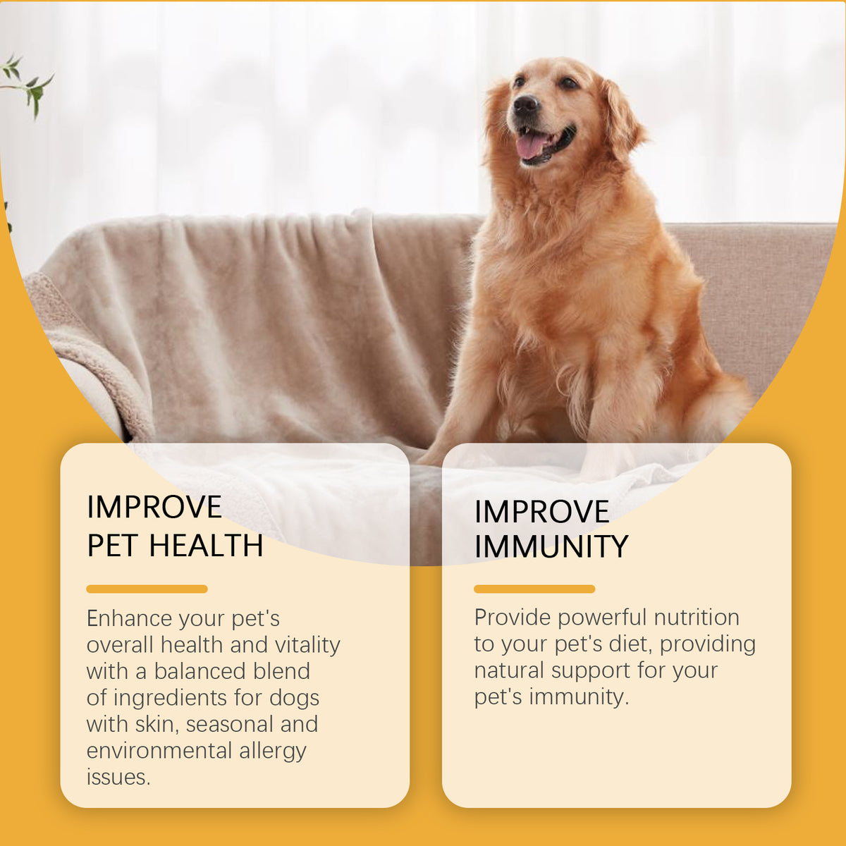 Dog Immunity & Allergy Relief Drops – Daily Nutritional Support