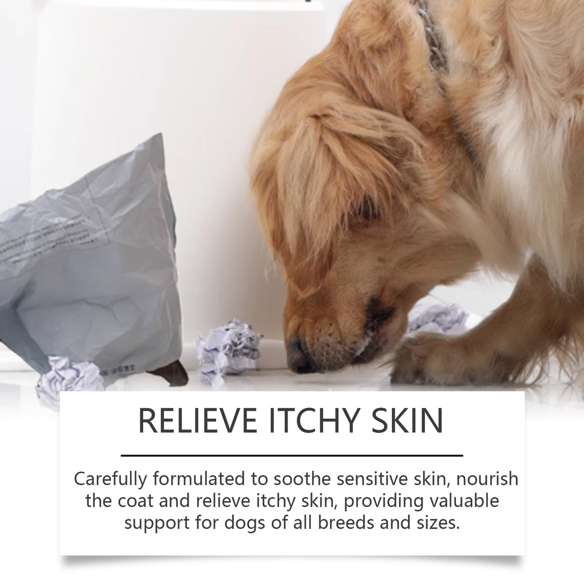 Dog Immunity & Allergy Relief Drops – Daily Nutritional Support