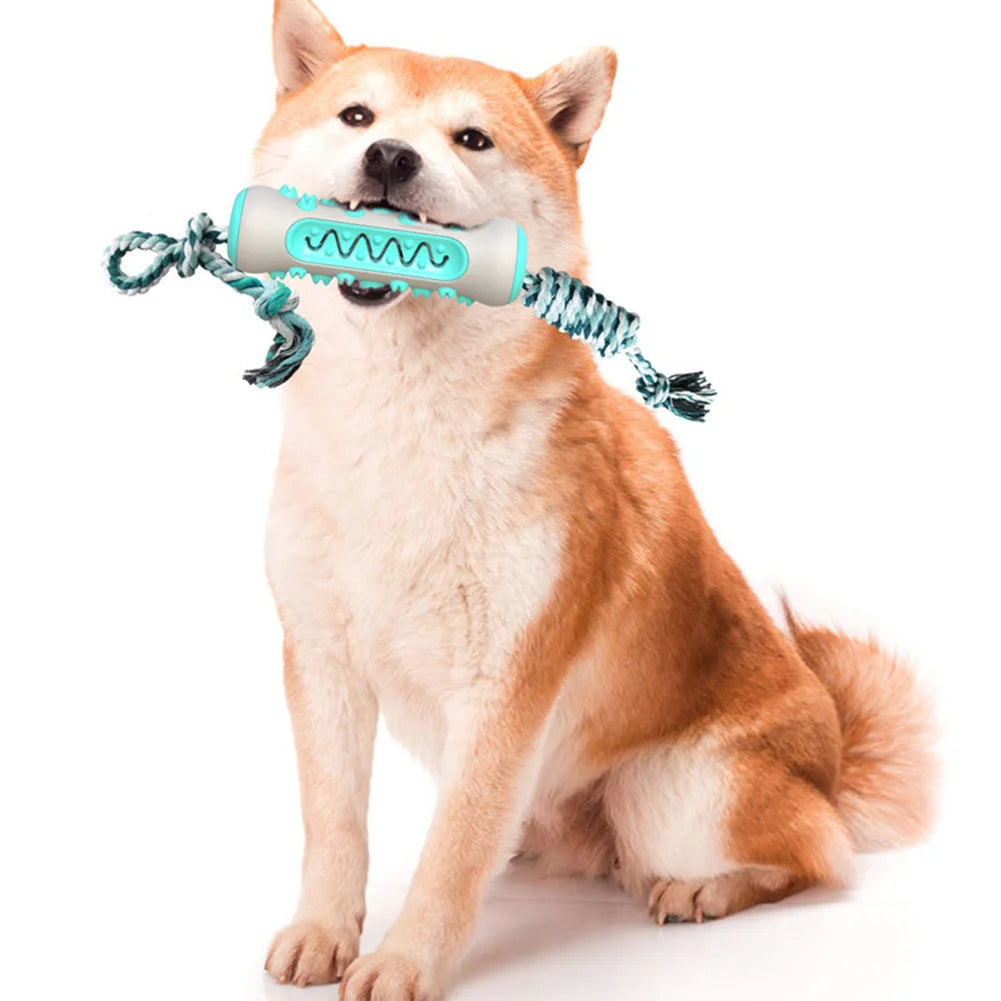 Dog Dental Chew Toy – Cleans Teeth & Strengthens Jaws
